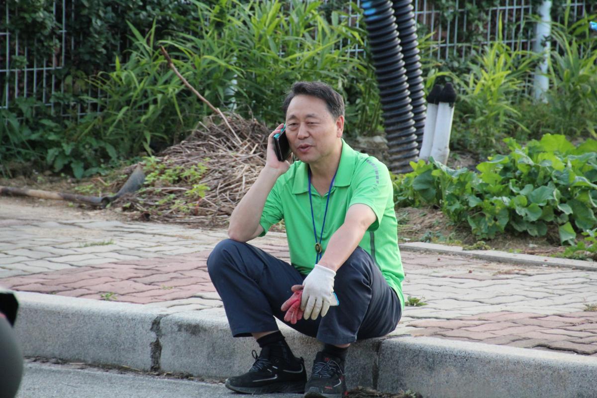 원주 도라지캐기 여행