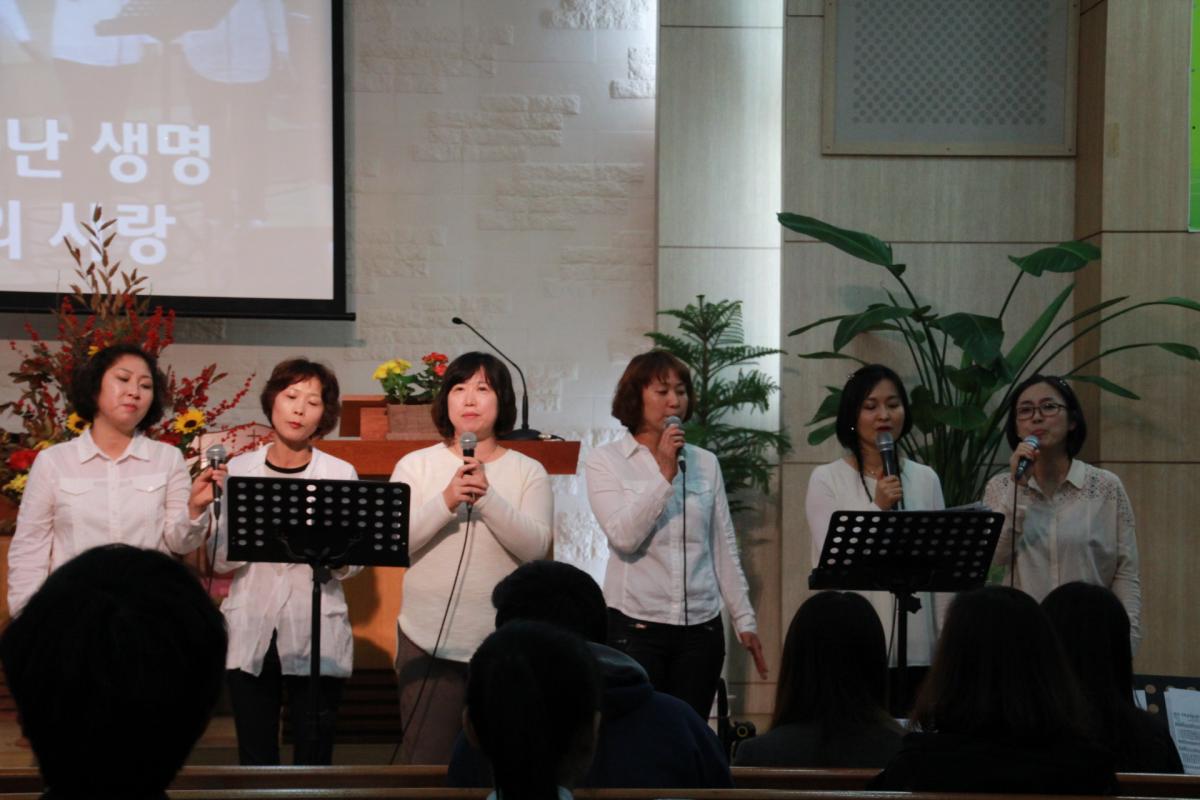 141026 찬양축제예배(여선교회)